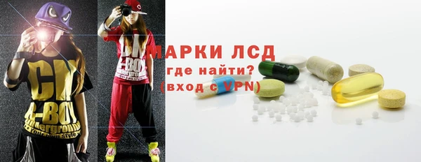 индика Новочеркасск