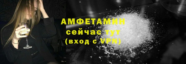 шишки Кукмор