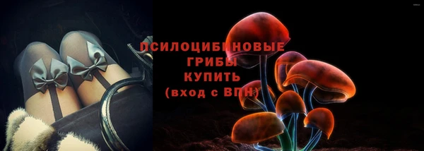 шишки Кукмор