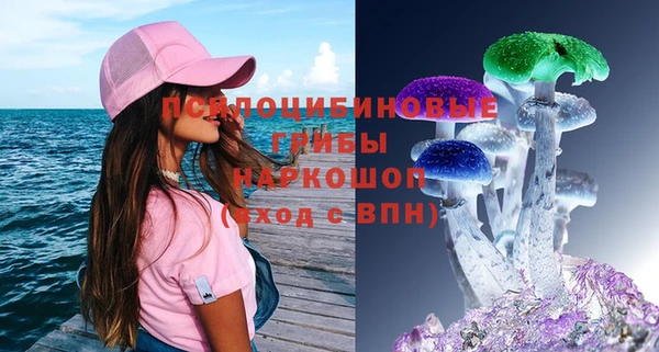 2c-b Кулебаки