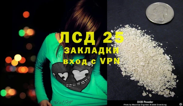шишки Кукмор