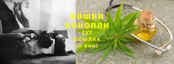 шишки Кукмор