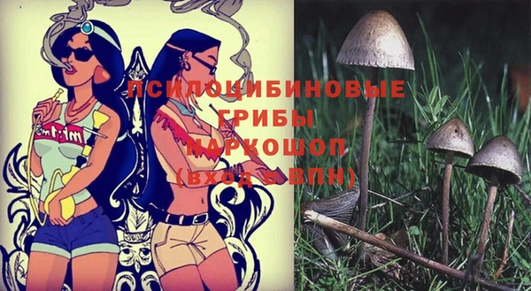 спайс Ладушкин