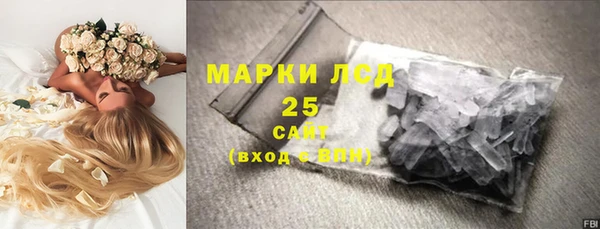 спайс Ладушкин