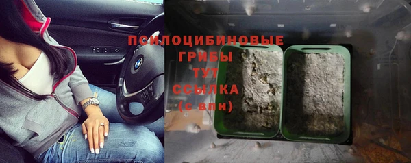 спайс Ладушкин