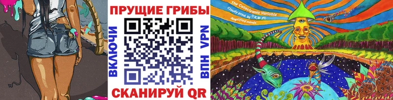 кракен зеркало  Ленинградская  Псилоцибиновые грибы Psilocybine cubensis 